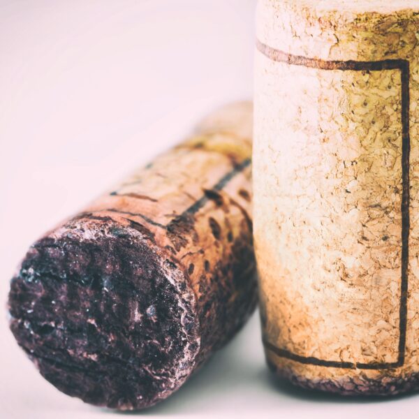 Close-up group of two old wine corks bottle stopper in studio on pink background cross-processed